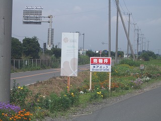 宮代町の不動産屋 amexの現地写真